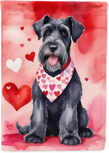 Miniatura 119 de Caroline's Treasures DAC5292CHF - Bandera de Border Collie My Valentine House para porche, grande, con manga para porche, para colgar en la pared