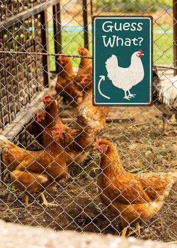 Miniatura 4 de Adivina Qué Divertido Gallinero Cartel de Hojalata, Póster de Trasero de Pollo, Arte de Pared de Cocina de Granja, Accesorios de Gallinero