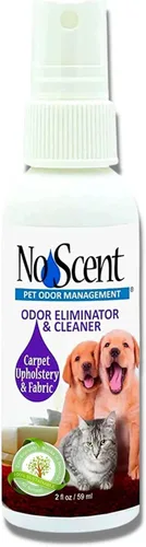 Limpiador de manchas sin olor para tapicería de alfombras y muebles de tela para olores húmedos de perros, aerosol de gatos, olor de mascotas,