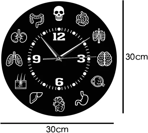 Miniatura 3 de The Geeky Days Reloj de pared de anatomía de órganos internos de cuerpo humano, arte de pared médico anatómico, silencioso, barrido, reloj de pared
