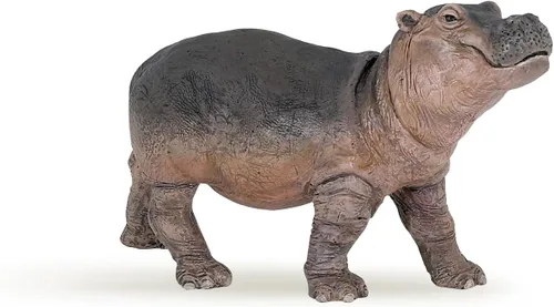 Papo - Figura realista de hipopótamo bebé - A partir de 3 años - Colección Wild Life - Juego educativo de animales jóvenes - Juguete de idea de