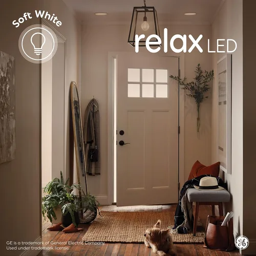 Miniatura 10 de GE Bombillas Relax HD Blanca Suave 60W ST19 (paquete de 2)