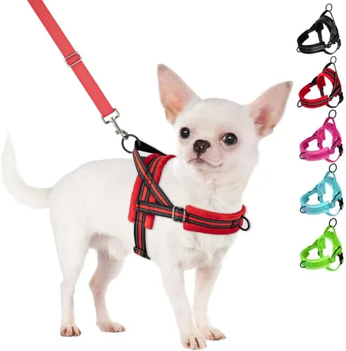 Miniatura 18 de SlowTon - Juego de arnés y correa para perros pequeños sin tirones, chaleco suave ajustable para cachorros para el cuello y el pecho, arnés
