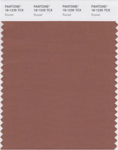 Miniatura 21 de PANTONE Tarjeta de muestra de color inteligente 18-1314X, bellota