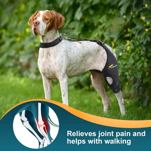 Miniatura 2 de Rodillera para perro para pierna trasera desgarrada del ligamento cruzado anterior, soporte para luxación de rótula u osteoartritis, lesiones