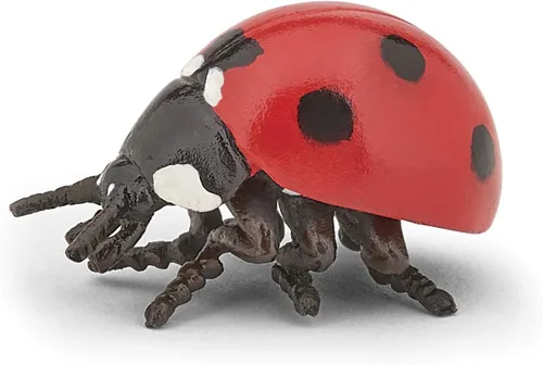 Papo - Figura realista de mariquita - A partir de 3 años - Colección de animales de jardín - Mundo educativo de insectos - Juguete de idea de regalo