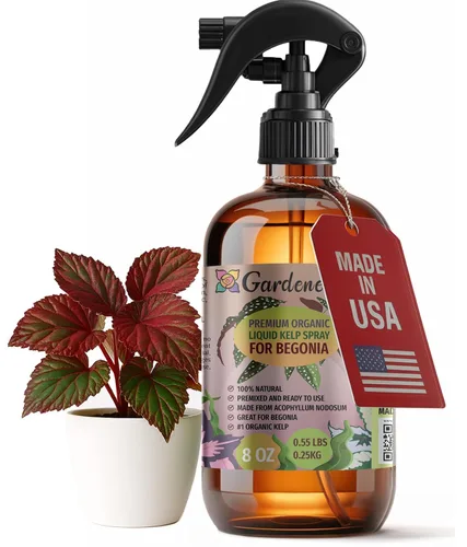 Miniatura 34 de GARDENERA Spray orgánico profesional de algas marinas para plantas AGLAONEMA – 8 oz – Rocío fertilizante de algas marinas y algas marinas totalmente
