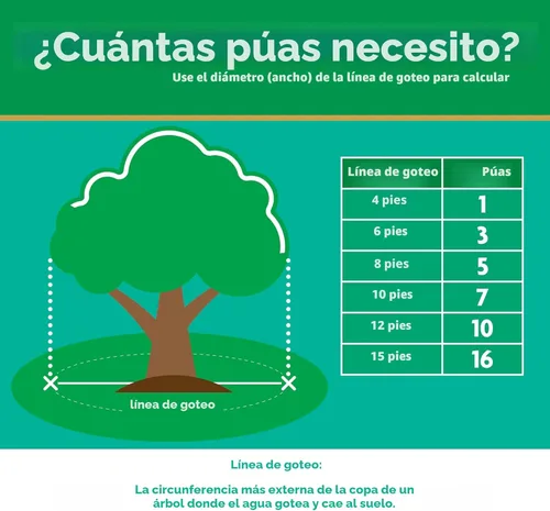 Miniatura 5 de Miracle-Gro Puntas de alimento para plantas de árboles y arbustos, para árboles caducifolios, con flores y siempre verdes, 12 puntas