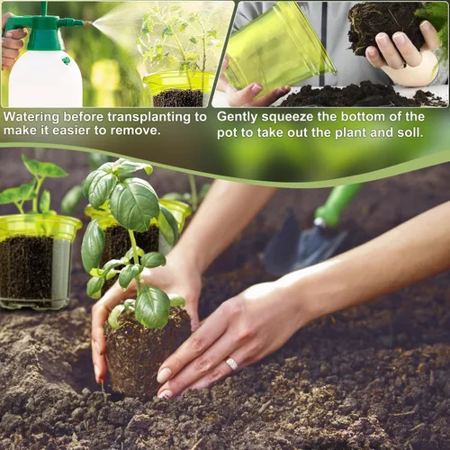 Miniatura 4 de SupKing Macetas transparentes de 4 pulgadas para vivero, 8 paquetes de plástico duradero, macetas pequeñas de orquídeas con agujeros de drenaje