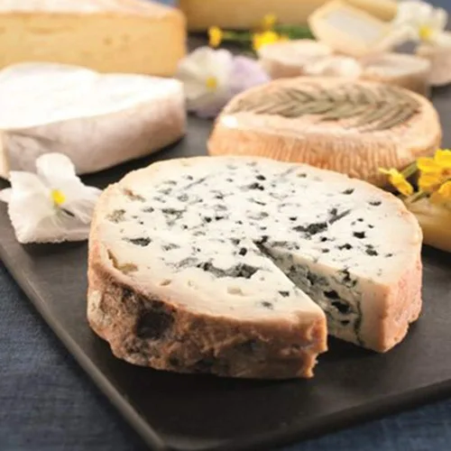 Miniatura 6 de 5pcs Estera de drenaje/maduración de quesos 8 pulgadas Esteras de secado de queso Equipo de elaboración de queso Fabricación de queso en casa