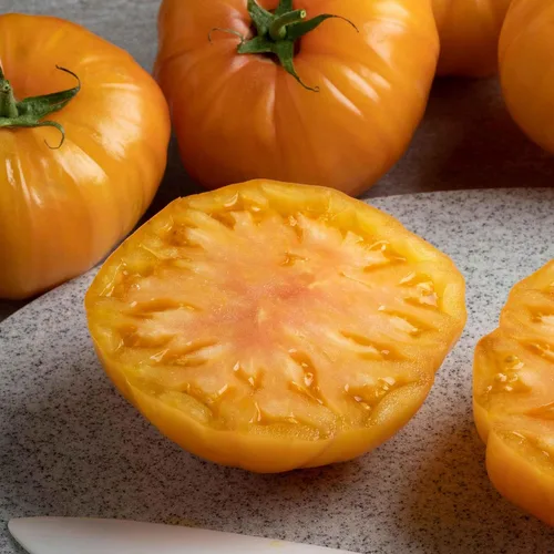 Eden Brothers Semillas de tomate – Semillas de caqui sin OMG para plantar, paquete | Semillas de vegetales de bajo mantenimiento, plantas durante la