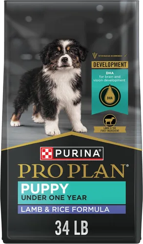Purina Pro Plan Alimento para cachorros con alto contenido de proteínas, fórmula de cordero y arroz DHA, bolsa de 34 libras