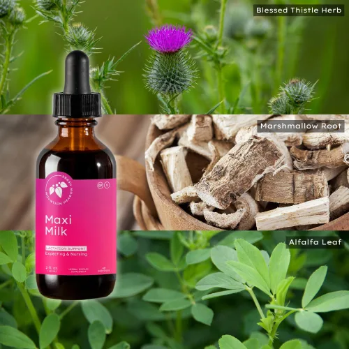 Miniatura 5 de Mountain Meadow Herbs Maxi-Milk - Soporte líquido natural para la lactancia para aumentar la producción de leche materna de forma rápida y efectiva