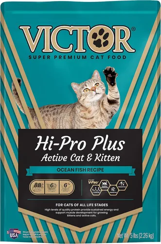 VICTOR Super Premium - Alimento para gatos y gatitos adultos activos Hi-Pro Plus - Alimento seco para felinos activos - Todas las razas y todas las