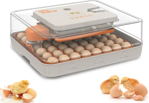 Incubadora de huevos para incubar 56 huevos de pollo, pato, codorniz y ganso - Girador automático de huevos, control de humedad y temperatura, vela
