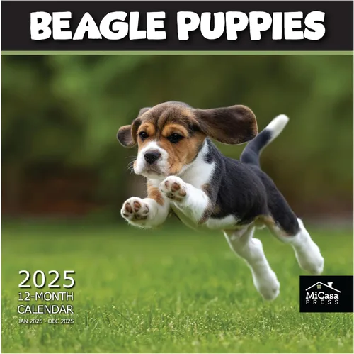 Miniatura 31 de MICASA PRESS Beagles - Calendario de pared 2026 de 12 meses 12 x 24 pulgadas abierto Papel grueso y resistente Regalo Lindo calendario