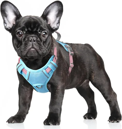 Miniatura 100 de BARKBAY Arnés para Perro Sin Tirones Talla Grande Arnés Reflectante para Perro con Clip Frontal y Asa de Control Fácil para Caminar Entrenar Correr