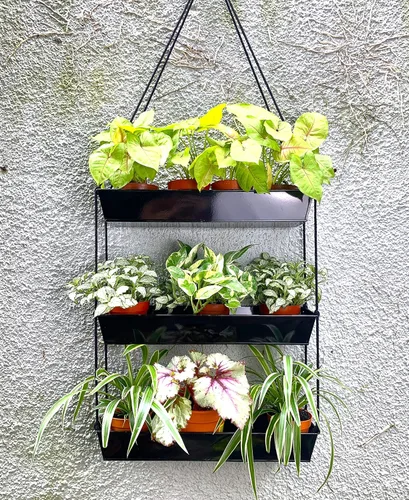 Miniatura 8 de LaLaGreen - Maceta escalonada de 16 pulgadas para plantas suculentas de interior, maceta rectangular moderna de metal negro de 3 niveles