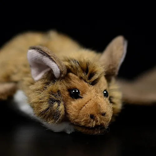 Miniatura 3 de Peluche de murciélago – Juguete de peluche de 12 pulgadas, regalos peludos para niños