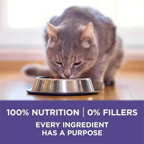 Miniatura 7 de Purina ONE Alimento natural para gatos para control de bolas de pelo, fórmula +PLUS Hairball - Bolsa de 16 libras