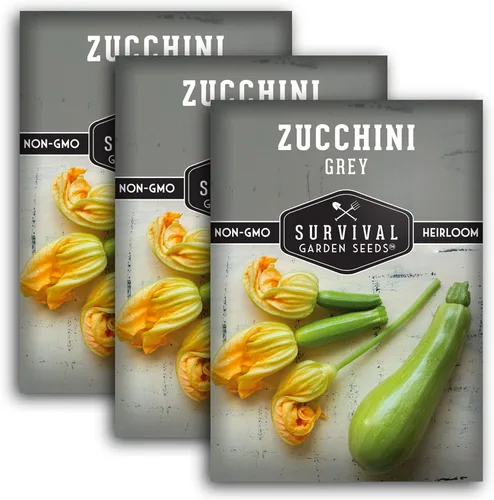 Survival Garden Seeds - Semilla de calabacín gris para plantar - 3 paquetes con instrucciones para plantar y cultivar calabaza mexicana de verano en