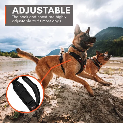 Miniatura 7 de Non-stop dogwear Rock Arnés ajustable para perros pequeños con 3 clips para correa, asa y reflectante, negro/naranja, talla XS