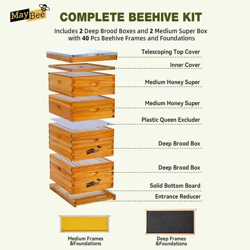 Miniatura 4 de MayBee Colmena Langstroth de 10 marcos sumergida en cera de abejas 100%, kit de iniciación completo de colmenas y suministros para abejas incluye 2