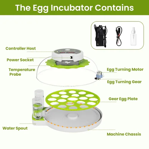 Miniatura 8 de Incubadora de 18 huevos con giro automático de huevos y control de humedad, vista panorámica HD, vela integrada para incubar pollo, pato, granjas