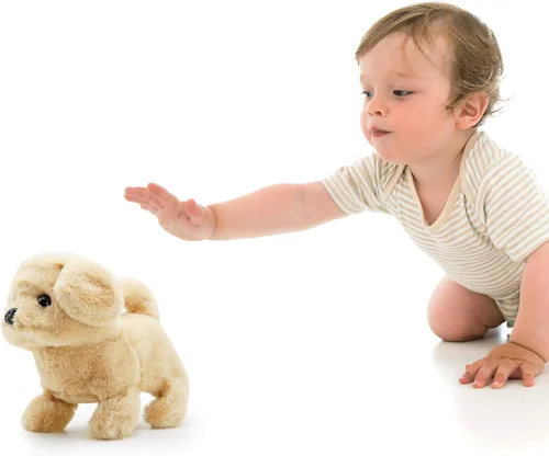Miniatura 2 de Daron Pugs at Play Goldie Walking Dog (PAP05)