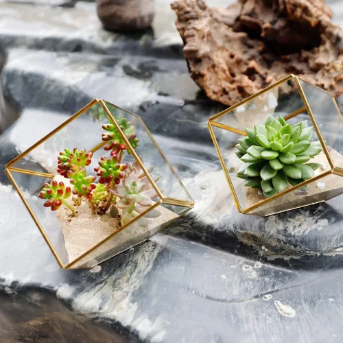 Miniatura 5 de ELEGANTLIFE Terrario de Plantas Geométrico de Cristal, Macetas para Suculentas y Plantas de Aire para Decoración de Hogar, Jardín, Oficina