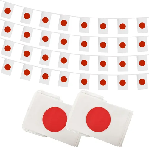 Miniatura 11 de Bandera de Cuerda Argentina de 100 Pies, 76 Piezas Bandera Estandarte Argentina, Pequeñas Mini Banderas del Mundo para Eventos Deportivos
