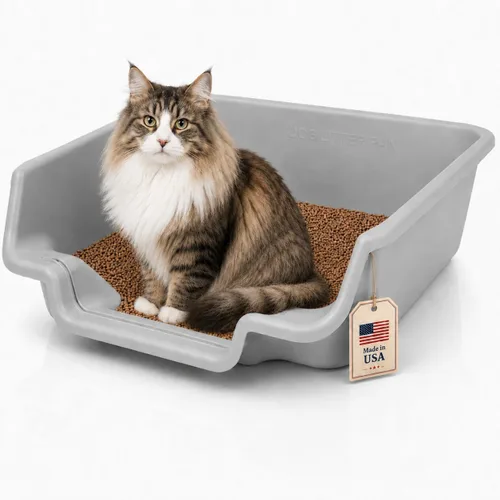 Miniatura 24 de KittyGoHere - Caja de arena para gatos mayores, sartén pequeña con cuchara jumbo de mango largo, caja de arena para gatos de entrada baja, ligera