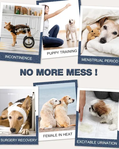 Miniatura 7 de Pet Soft Pañales desechables para perros hembras, pañales desechables para gatos, pañales para cachorros, 8 unidades, XS