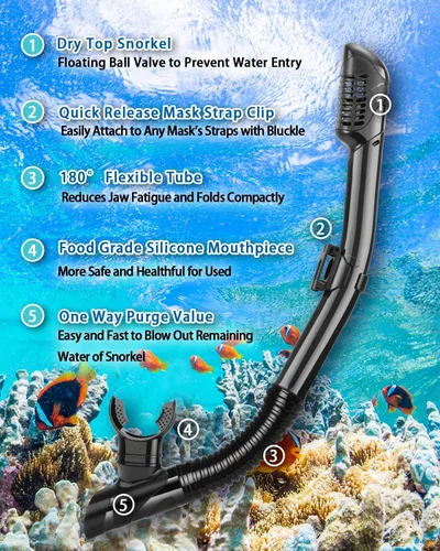 Miniatura 4 de Snorkeling Gear for Adults, Adult Snorkel Set with Panoramic Anti-Leak and Anti-Fog Tempered Glass Snorkel Mask, Dry Top Snorkel, Snorkle Mask Set