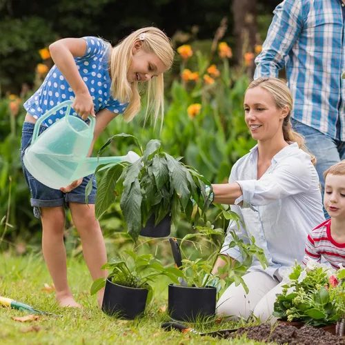 Miniatura 6 de Delxo Bolsas de cultivo de jardín de 1 galón, paquete de 10 bolsas de cultivo de plantas, macetas pequeñas de tela para plantar, verduras