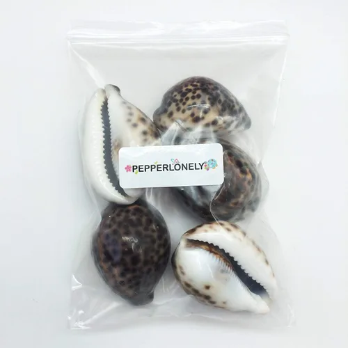 Miniatura 3 de PEPPERLONELY 5 conchas marinas de tigre cowrie pulidas, 2-1/2 pulgadas ~ 3-1/4 pulgadas 1#. Tiger Cowrie Shells 2-1/2 pulgadas ~ 3-1/4 pulgadas