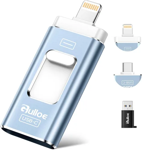 Gulloe Unidad flash de doble interfaz de 256 GB para almacenamiento de teléfono, fotos, videos, respaldo USB de teléfono, tarjeta de memoria externa
