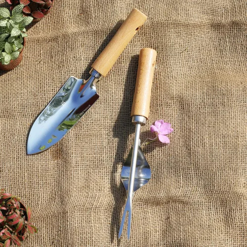 Miniatura 2 de Juego de herramientas de jardín, 2 piezas de herramientas de jardín de acero inoxidable resistente, kit de jardín con mango ergonómico de madera