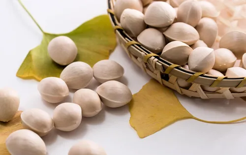 Miniatura 6 de 10 semillas de hierba de fruta de naranja de otoño de Ginkgo BILOBA árbol de culantrillo amarillo
