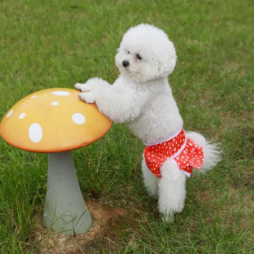Miniatura 7 de Pañales reutilizables para perros femeninos, paquete de 3 unidades, pañales premium altamente absorbentes para perros, pañales flexibles