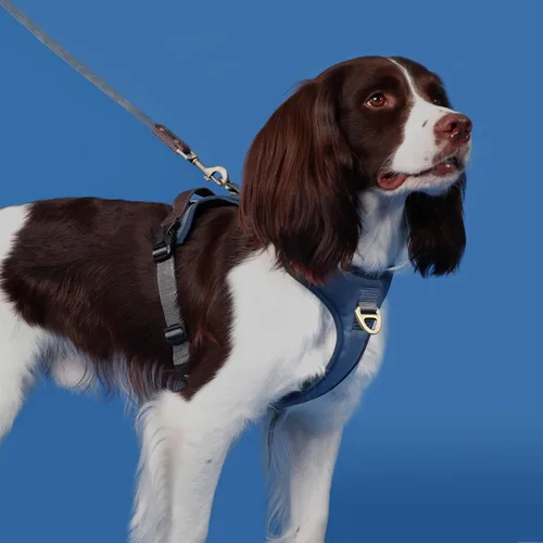 Miniatura 2 de Arnés para perro sin tirones de tamaño pequeño, elegante chaleco de piel sintética con asa de fácil control, clip frontal sin estrangulamiento con 2