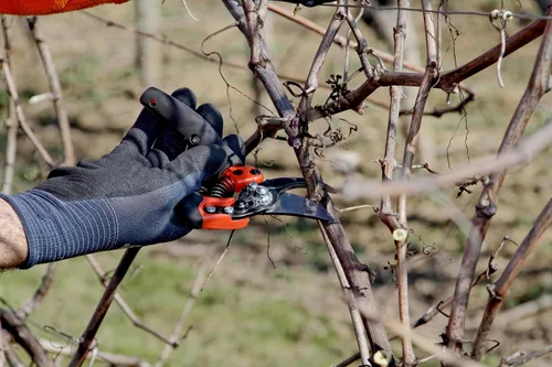 Miniatura 4 de ERGO? Tijeras de podar de derivación media de 1.181 in con mango giratorio recubierto de elastómero