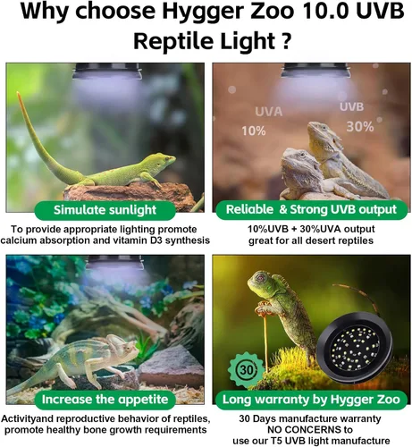 Miniatura 4 de Lámpara UVB para Reptiles con Atenuación, Foco de Luz LED UVB para Dragón Barbudo, Gecko, Lagarto, Tortuga, Serpiente, Luminosidad Ajustable