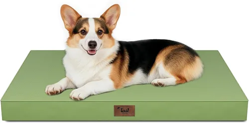 Miniatura 15 de Cama ortopédica de felpa para perros y cachorros medianos, camas impermeables para perros de 30 x 20 pulgadas con funda extraíble lavable, tapete