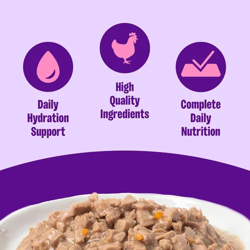 Miniatura 2 de Wellness Complete Health Gravy - Alimento húmedo para gatos adultos, natural, rico en proteínas, sin granos, 3 onzas, paquete de 12