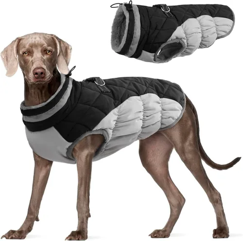 Miniatura 24 de FUAMEY - Chaqueta de invierno para perro, chaleco acolchado con arnés, ropa cálida para mascotas, abrigo con cremallera, impermeable, para perros