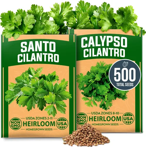 Miniatura 123 de HOME GROWN Mezcla de semillas germinantes de primera calidad, microgreens 118,200 semillas para cultivo en interiores, brócoli, alfalfa, rábano