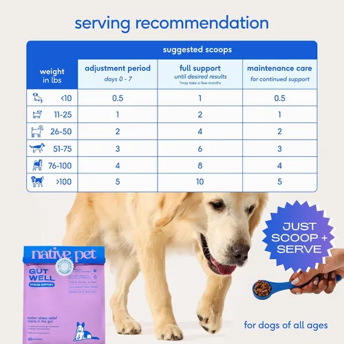Miniatura 7 de Native Pet GutWell - Suplemento calmante para aliviar la ansiedad y aliviar la ansiedad del perro, promueve el bienestar emocional, regula