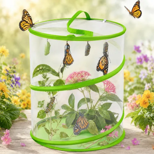 Jaula de malla de hábitat de mariposa, 12 x 14 pulgadas, plegable, transpirable, para insectos, jaula de mariposas alta (verde)