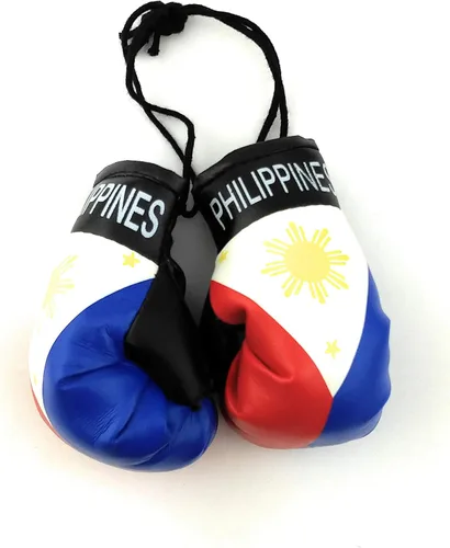Miniatura 27 de Mini guantes de boxeo para colgar en el espejo del coche (Camerún)